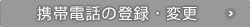 gѓdb̓o^EύX